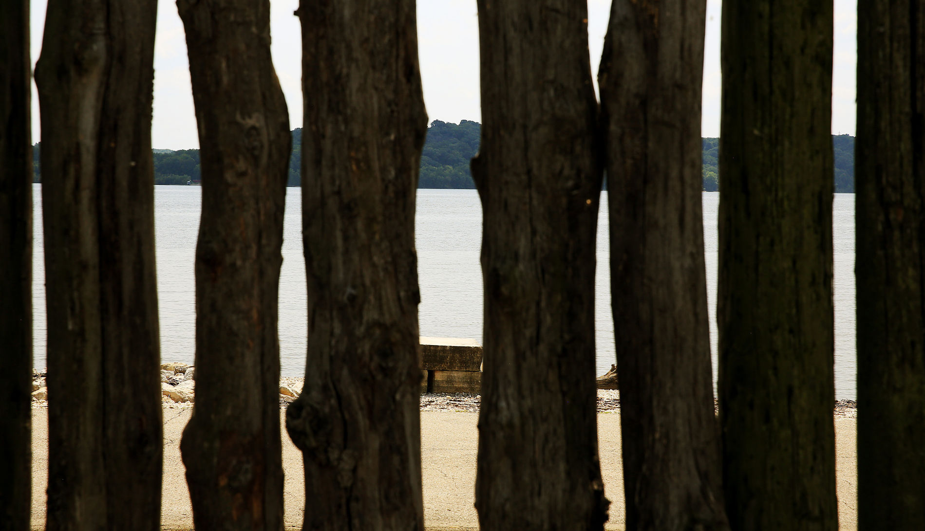 THE GREAT RIVER-0905